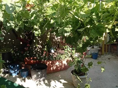 Casa en venta en Tordillos